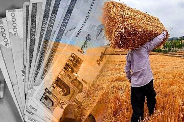 واریز مرحله جدید مطالبات گندم‌کاران| پرداخت‌ها به ۶۲.۳ همت رسید