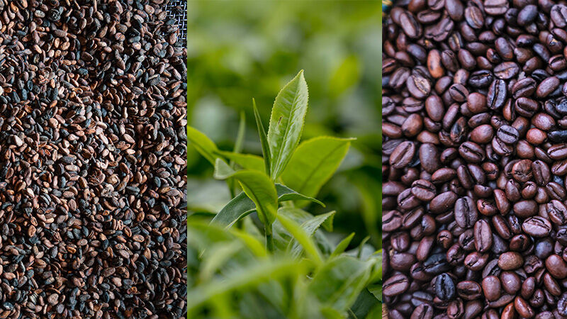 قیمت جهانی کالاهای نوشیدنی سریعتر از سایر کالاهای کشاورزی افزایش یافته است